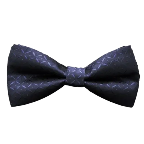 Noeud Papillon Bleu Ma boutique